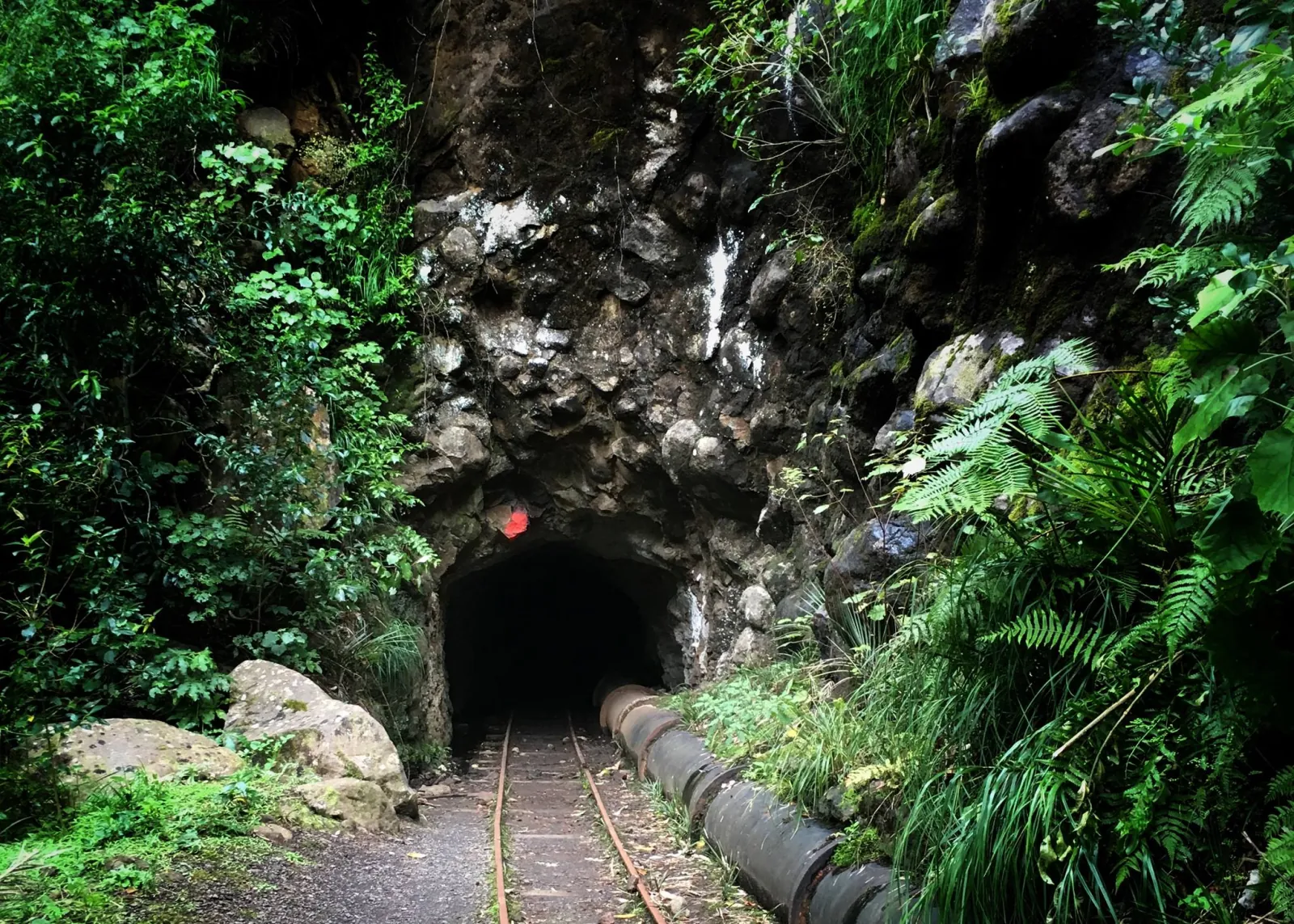 Inside George's Tunnel