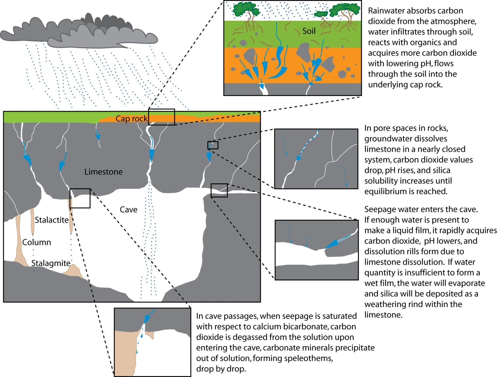 Diagram showing how rainfall and carbon dioxide form a karst cave system