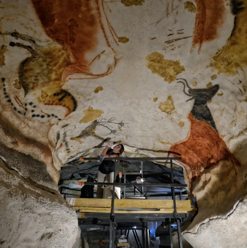 The painted ceiling of the Lascaux replica