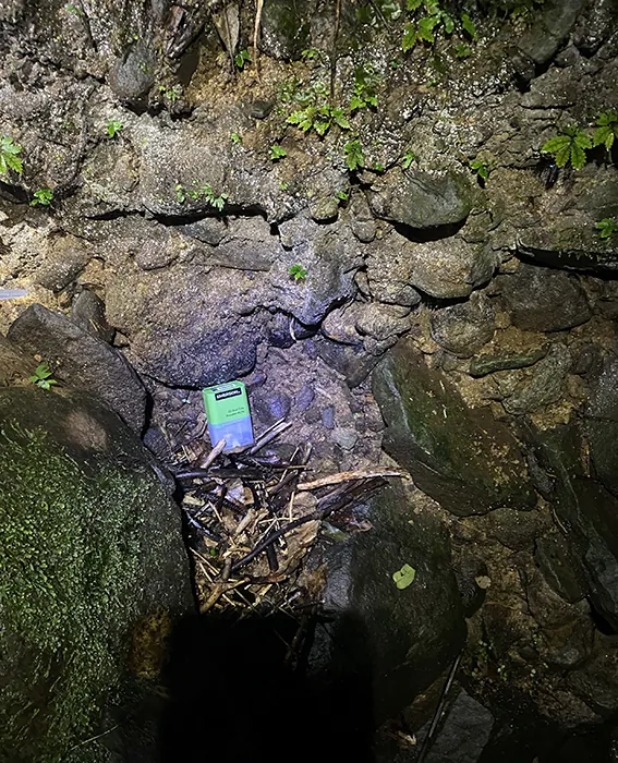 Monitoring equipment at a glowworm colony